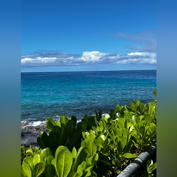 Welcome Posheroos! - Picture 4 of 7